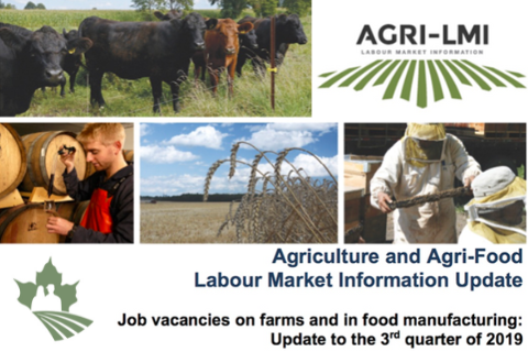 Job Vacancies on Farms and in Food Manufacturing: Update to the 3rd Quarter of 2019