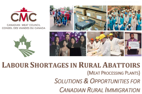 Labour Shortages in Rural Abattoirs: Solutions & Opportunities for Immigration