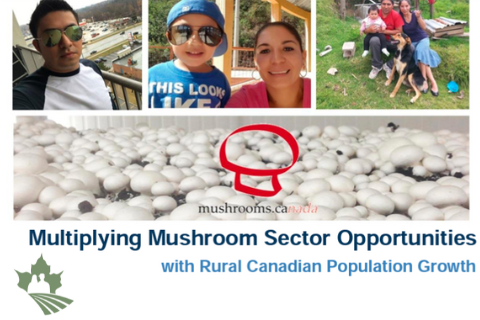 Multiplying Mushroom Sector Opportunities with Rural Population Growth