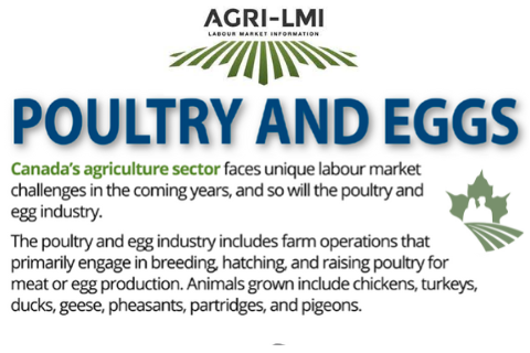 Poultry and Egg Infographic