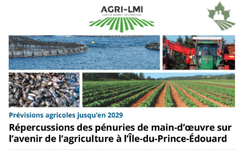 Répercussions des pénuries de main-d’oeuvre sur l’avenir de l’agriculture à l’Île-du-Prince-Édouard