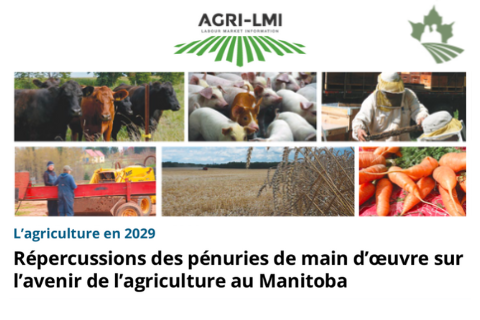 Répercussions des pénuries de main-d’oeuvre sur l’avenir de l’agriculture au Manitoba
