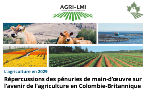 Répercussions des pénuries de main-d’oeuvre sur l’avenir de l’agriculture en Colombie-Britannique