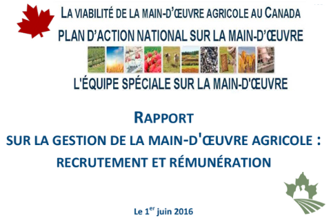 Rapport sur la gestion de la main-d'oeuvre agricole : Recrutement et Rémunération