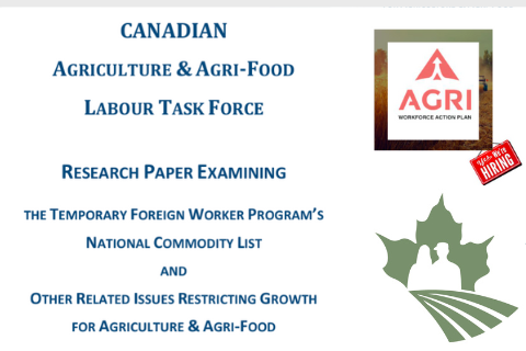Examining the Temporary Foreign Worker Program’s National Commodity List