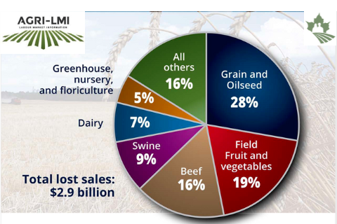 Sales Losses: Grain and Oilseed Producers