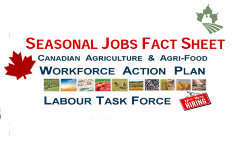 Seasonal Jobs Facts Sheet