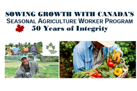 Sowing Growth with Canada’s Seasonal Agriculture Worker Program