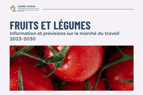 vignette de fruits et légumes