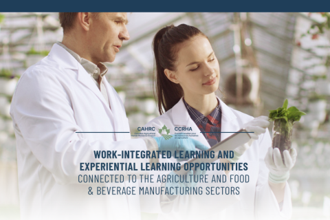 Work-Integrated Learning thumbnail 